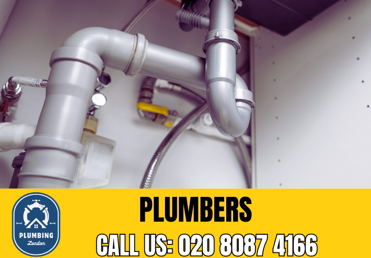  plumber Pimlico