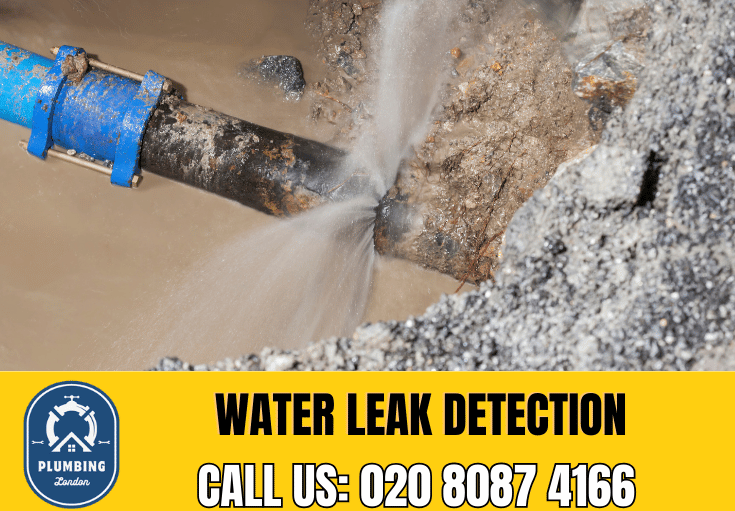 leak detection Westminster